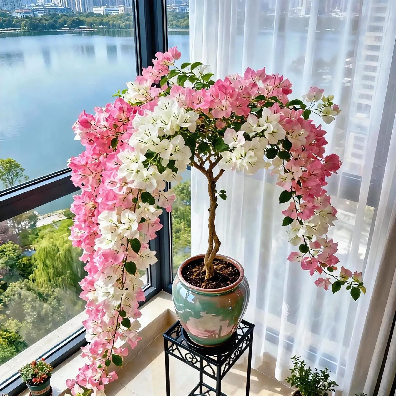 小婶跟我讲，如今有些在家带孩子的人，别的事啥都不干，整天抱着手机刷短视频。
小婶