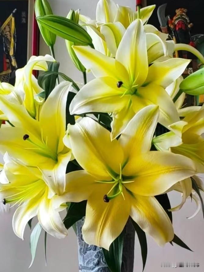百合花的颜色多种，
有淡黄色、粉色、
纯白色、红色。

最喜欢百合花，
今天分享