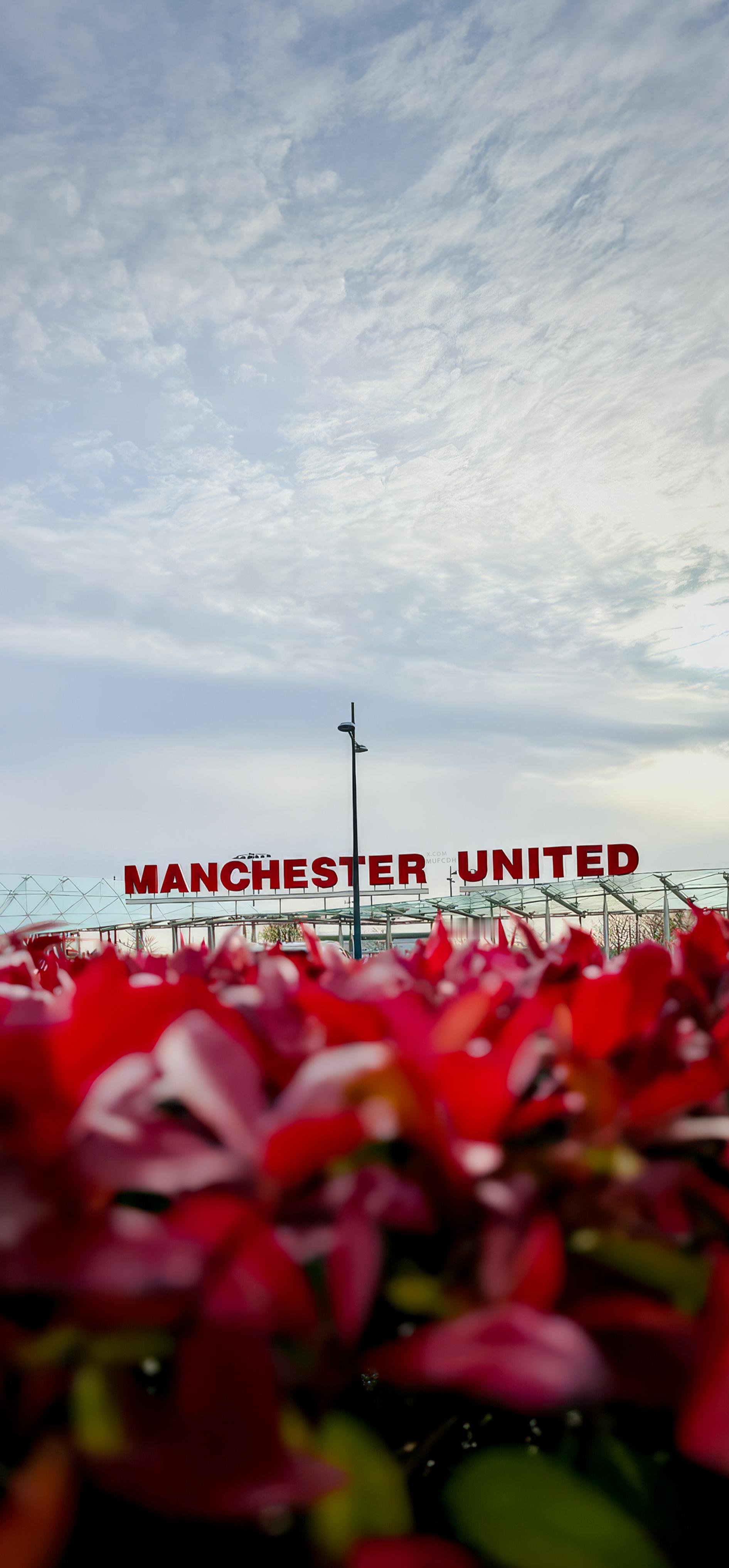 📷卡灵顿，高清手机壁纸truered