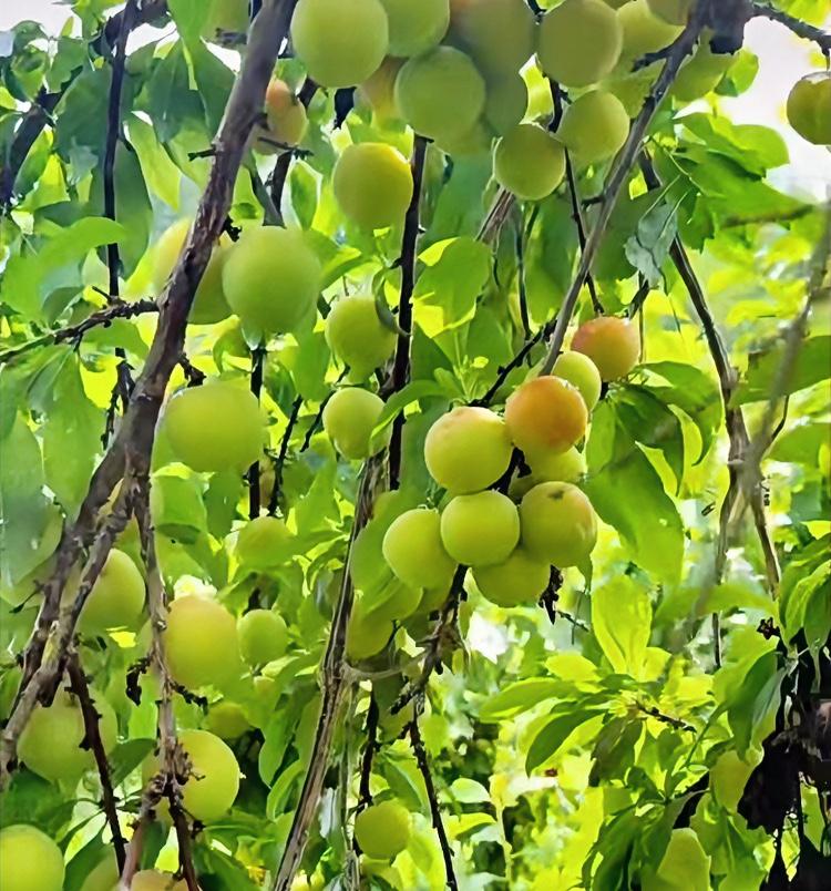 生命在于运动,这句话对吗?对于不爱运动的人来说，生命在于静止，而对于爱运动的人来