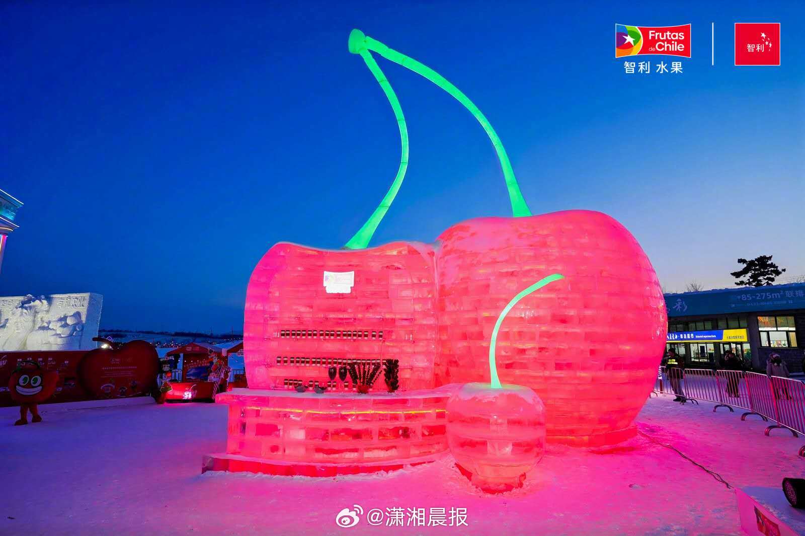 【春节将至，智利车厘子成抢手年货】自2025年12月底起，“智利车厘子冰雪节”在