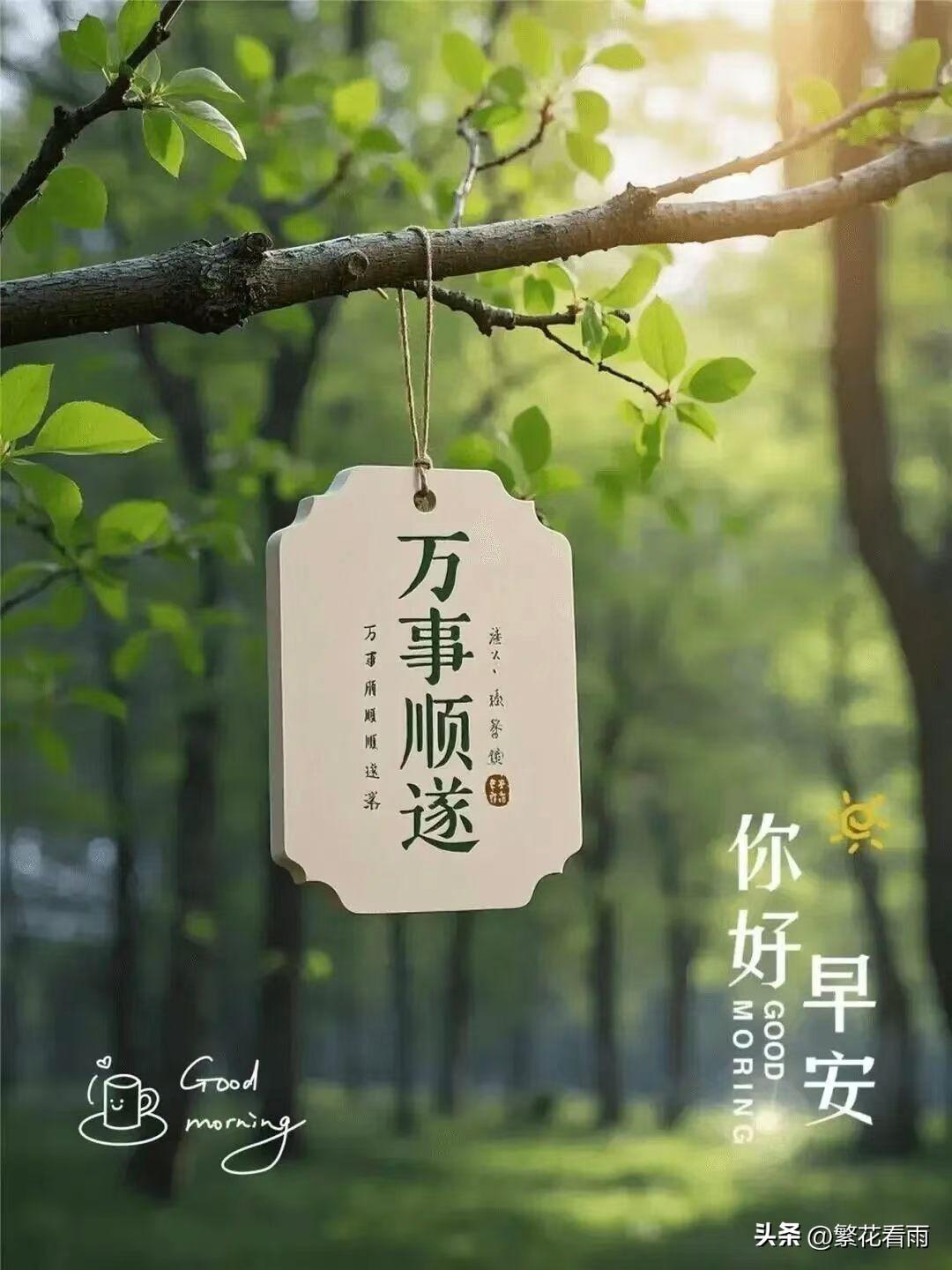 退休不是人生的终点，而是生活真正的开始。不用赶早八，不用应付琐事，睡到自然醒，闲