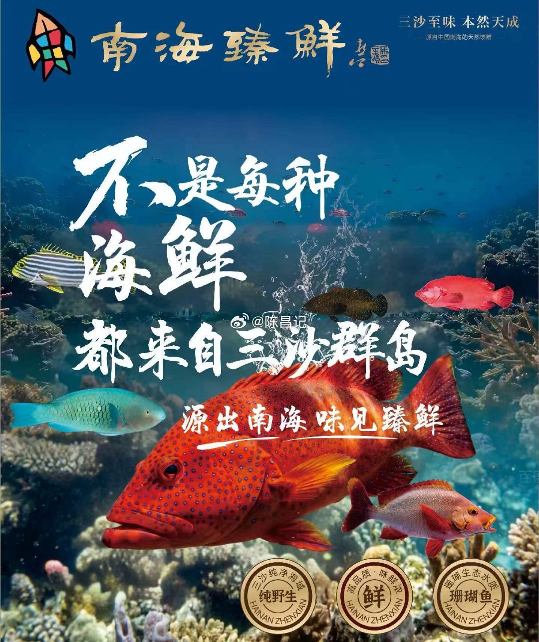事要办得好，送礼要趁早🔥中秋佳礼选三沙群岛原生海味把来自南疆大海的鲜味送给重要