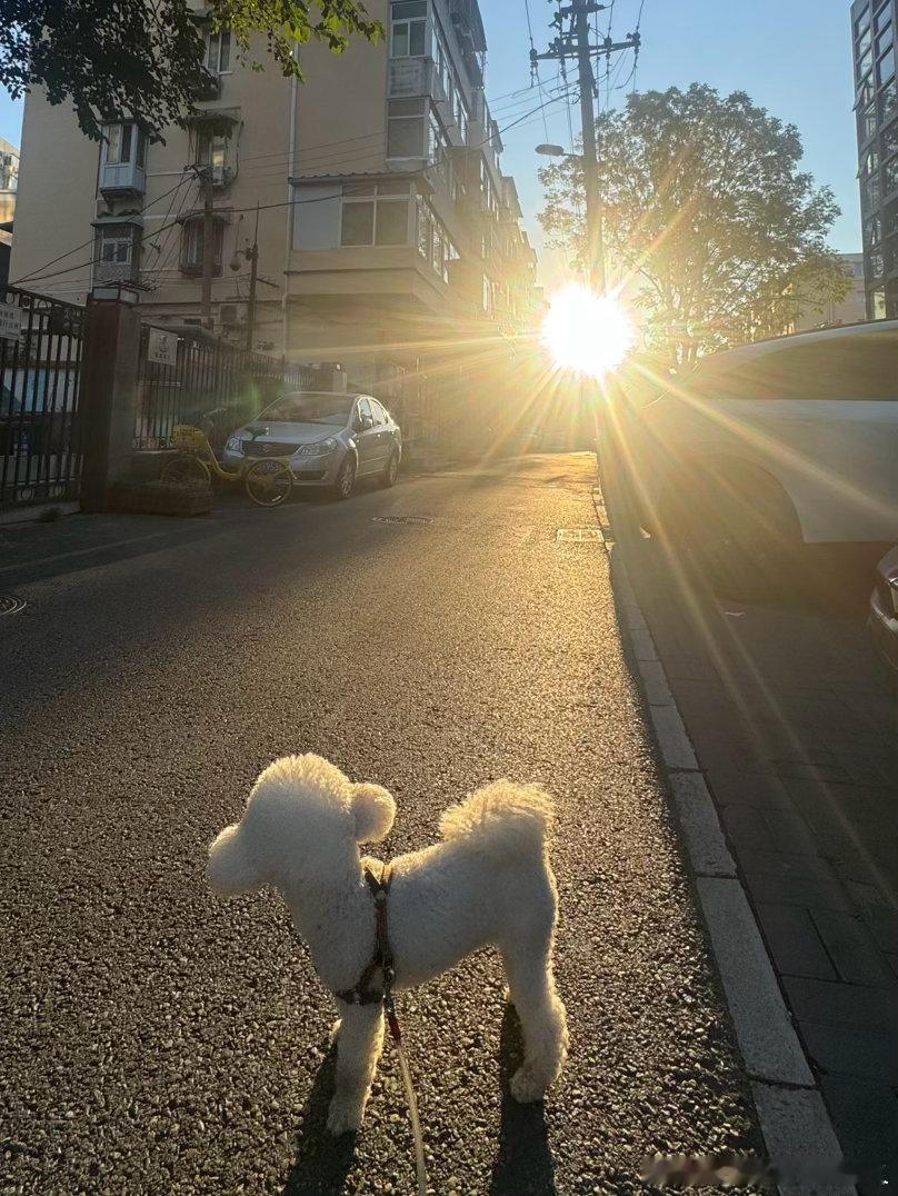 我爱北京❤️ 