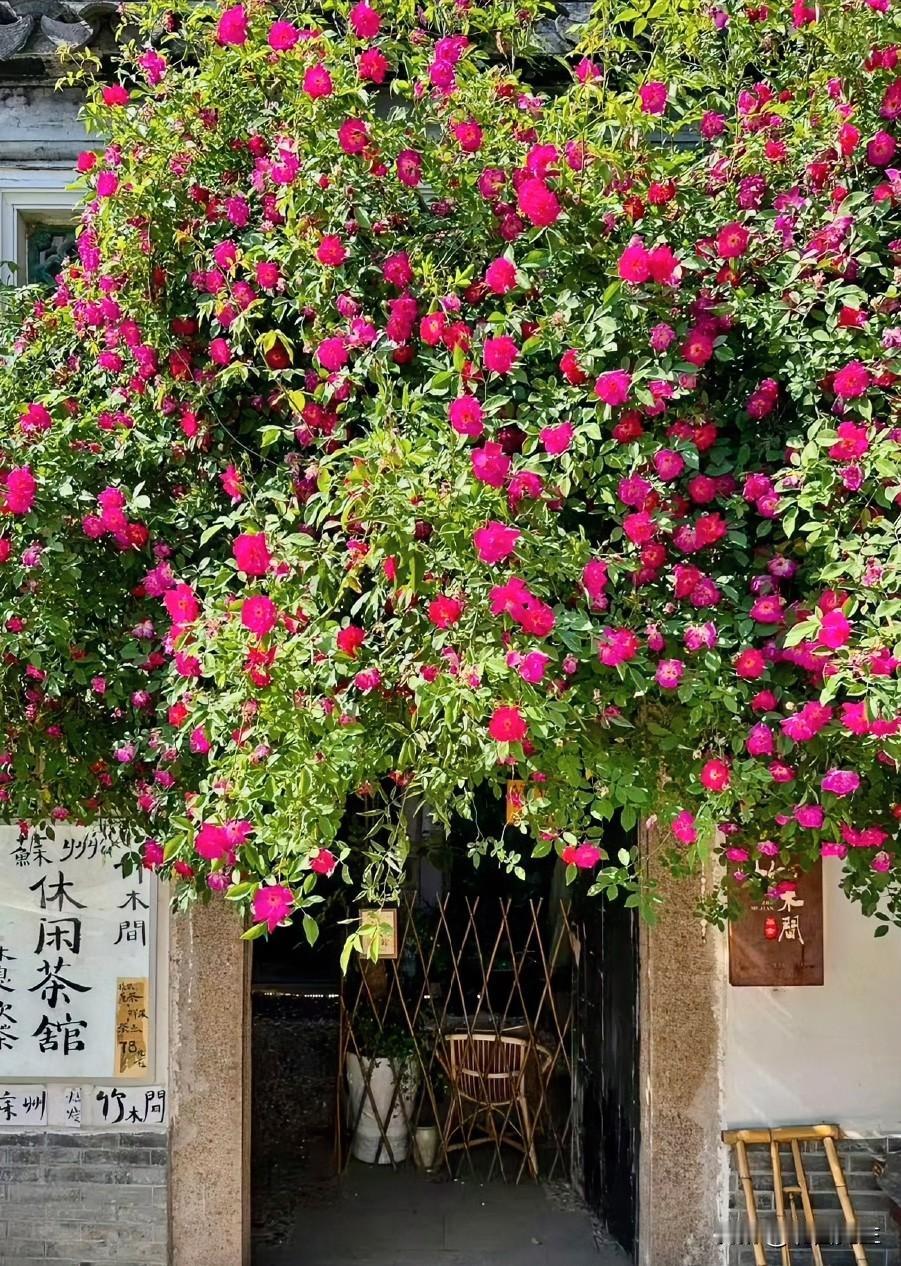 两性专家：愿意搭理你的女人，已经认可了男人的外貌，如果你长相实在拿不出手，看着歪