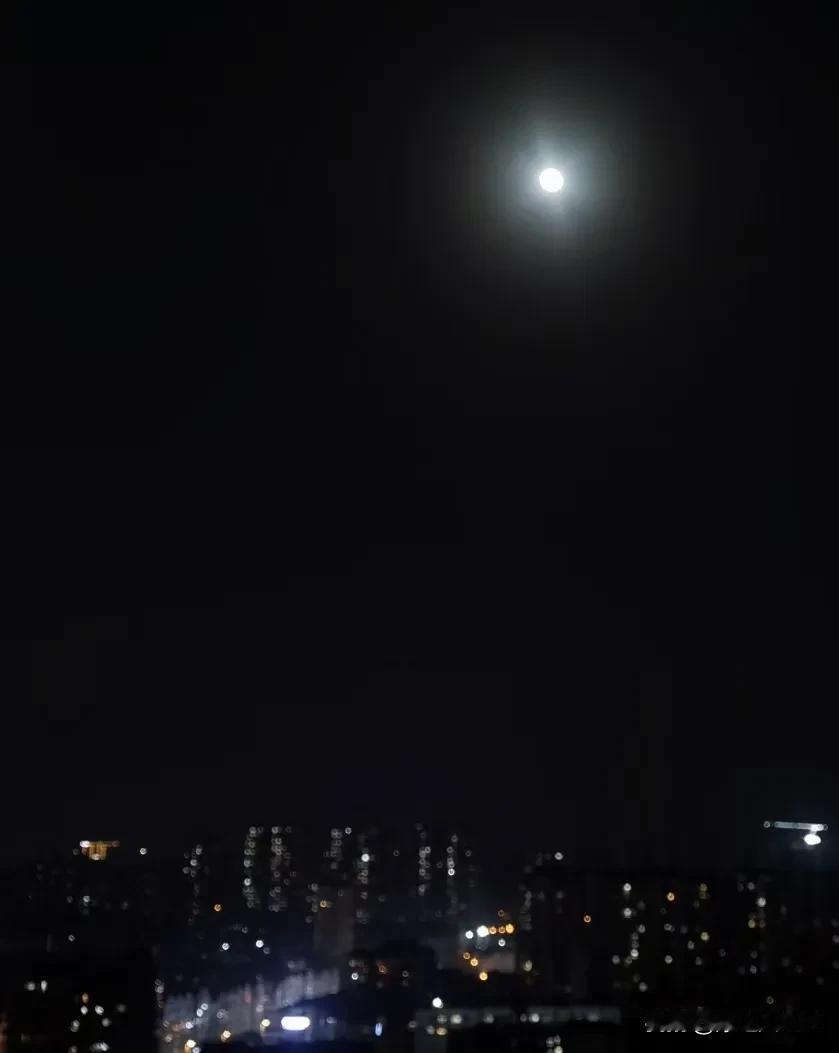 月明鸟宿林