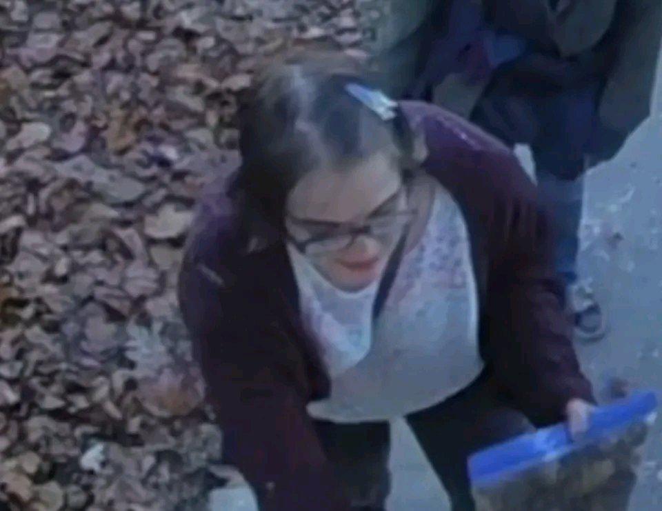 美国这事儿真是够离谱的。23岁的摩根·盖瑟，12岁时为了取悦虚构的“瘦长鬼影”，