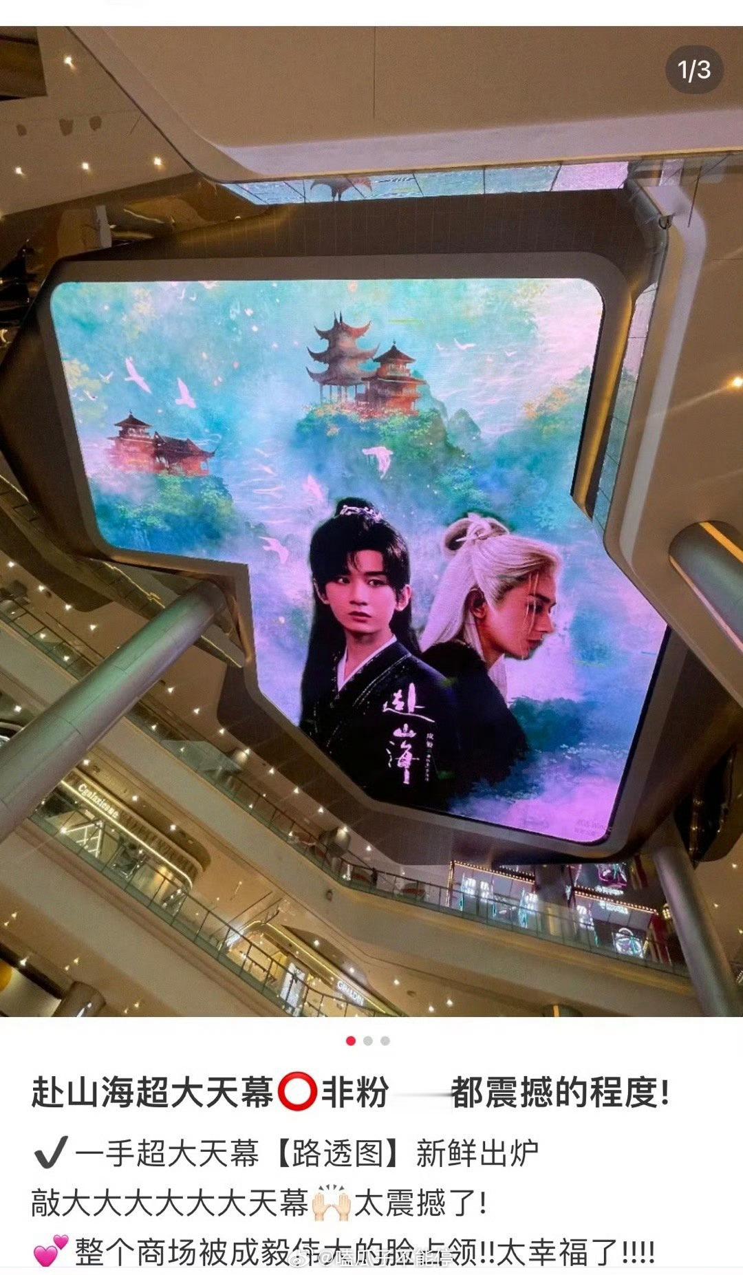 成毅粉丝赴山海成都超大天幕[开学季] ​​​