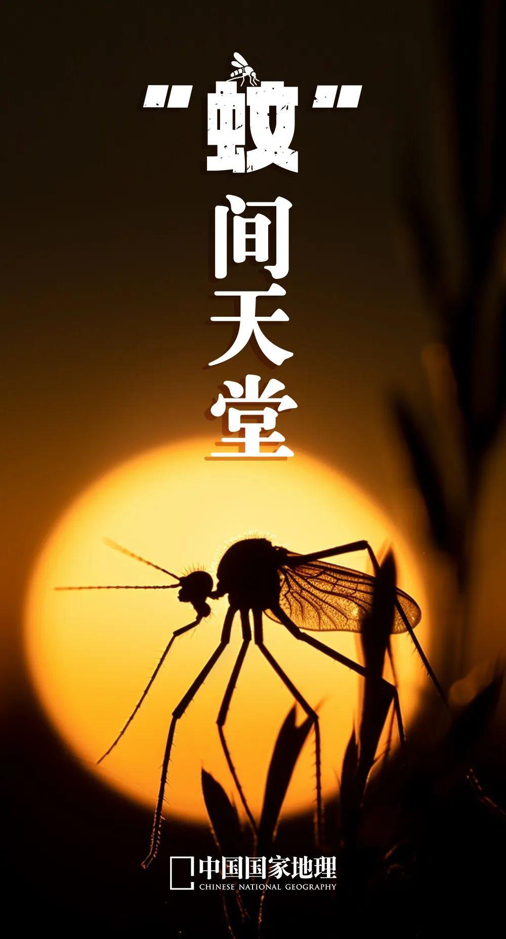 蚊子爱叮这几类人，看看有没有你
 1. 呼出二氧化碳多的人
运动过后、年轻人、胖