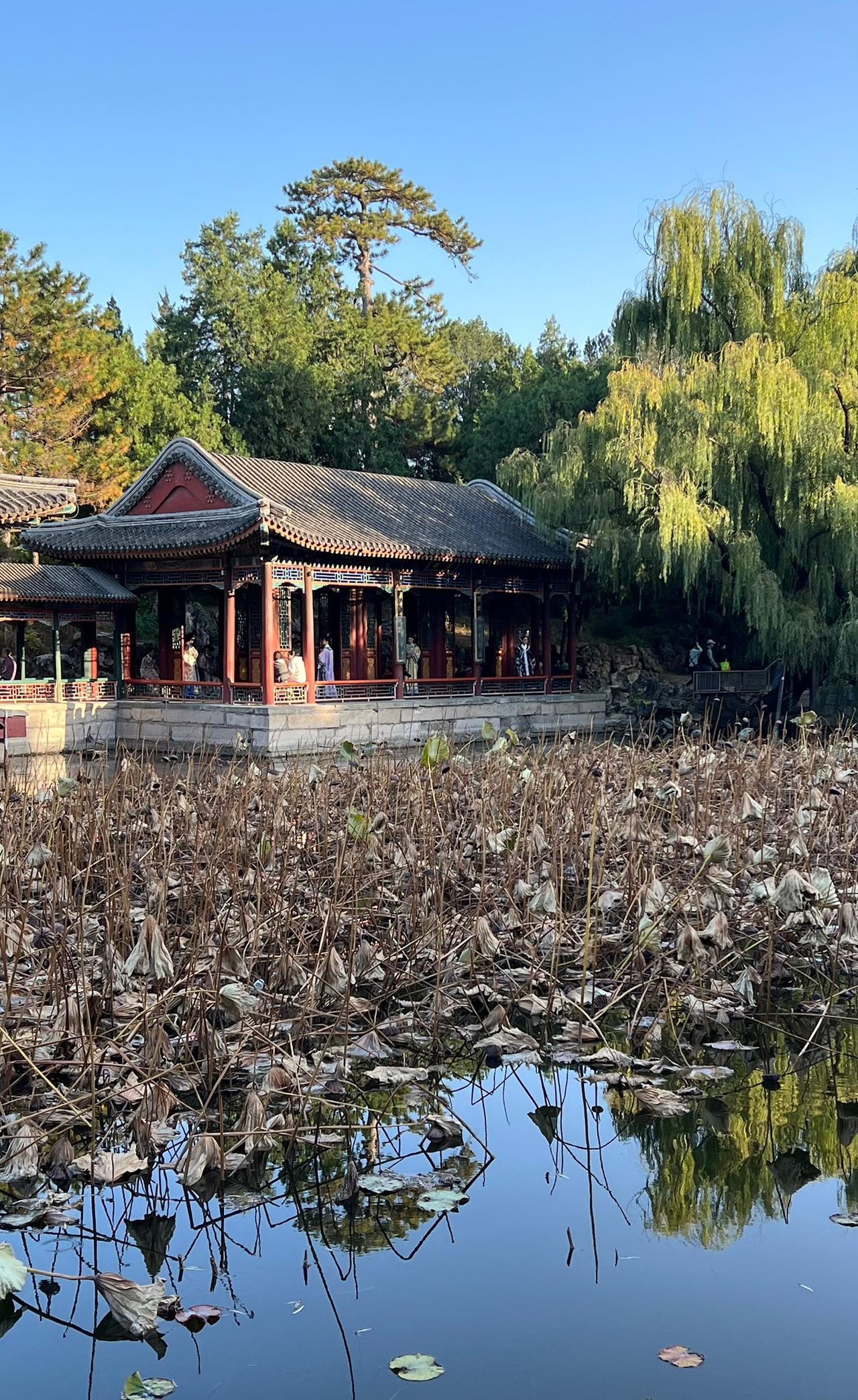 一张图证明你去过颐和园