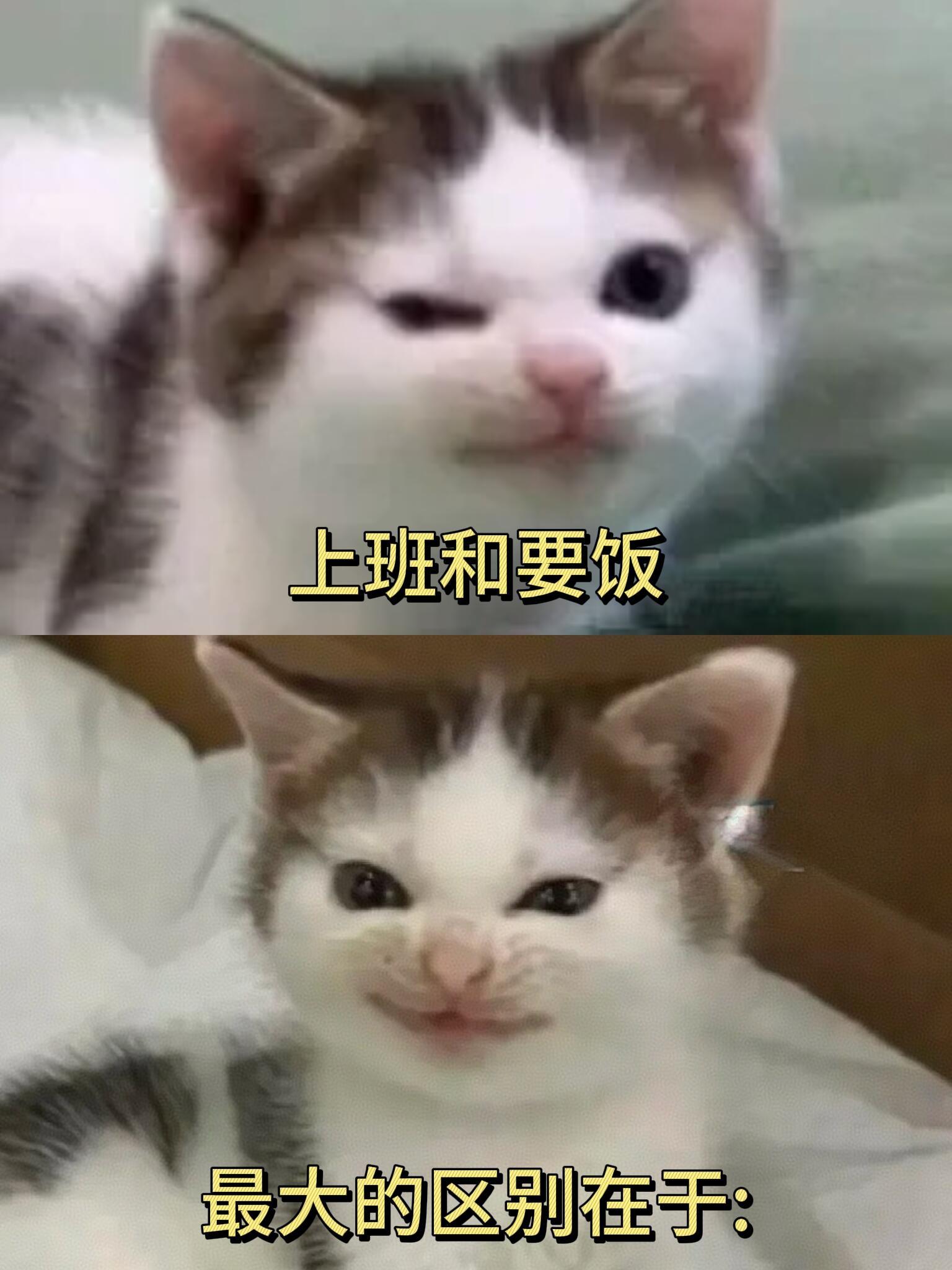 上班跟要饭的区别be like: 