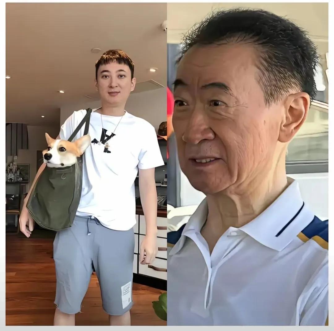 王健林夫妇估计后悔了！
他们不是后悔生了王思聪，而是后悔当初有条件的时候，为什么
