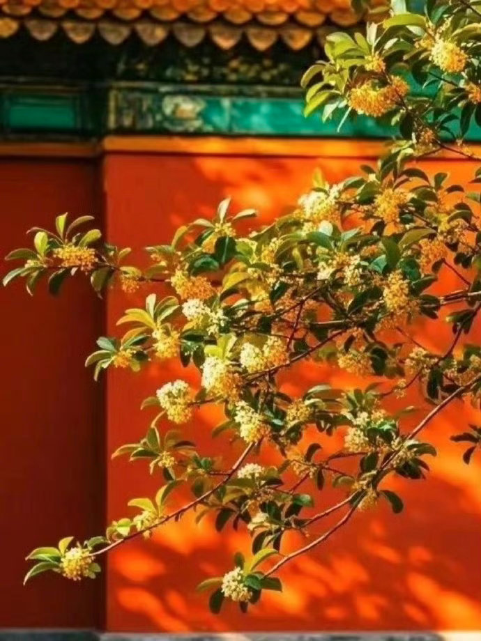 任何时候都不要期望着自己能够改变任何人，就像天正在下雨，你可以选择撑伞或叫出租车