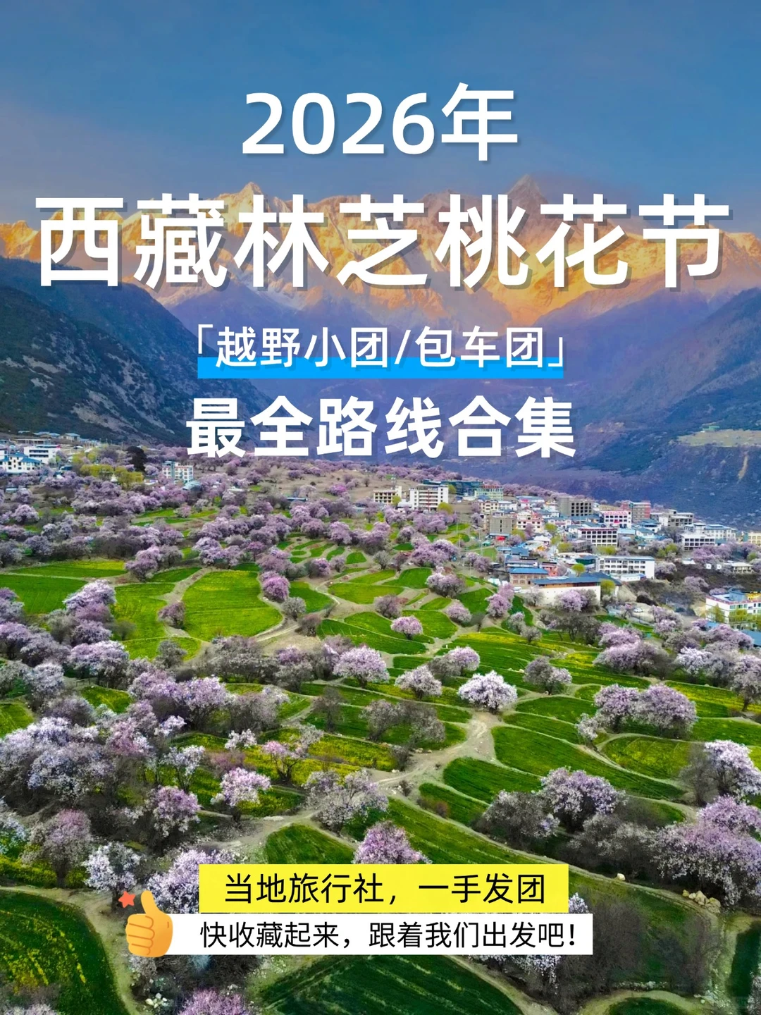 🌸 西藏林芝桃花节最全路线合集，快收藏