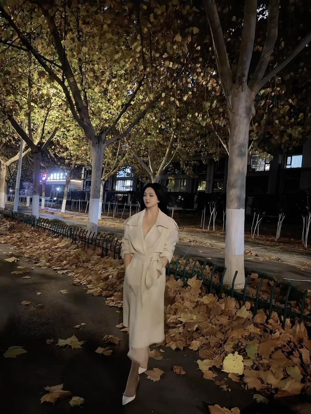 十一月了 已经猜不到你在干什么了 我们也很久没说过话了