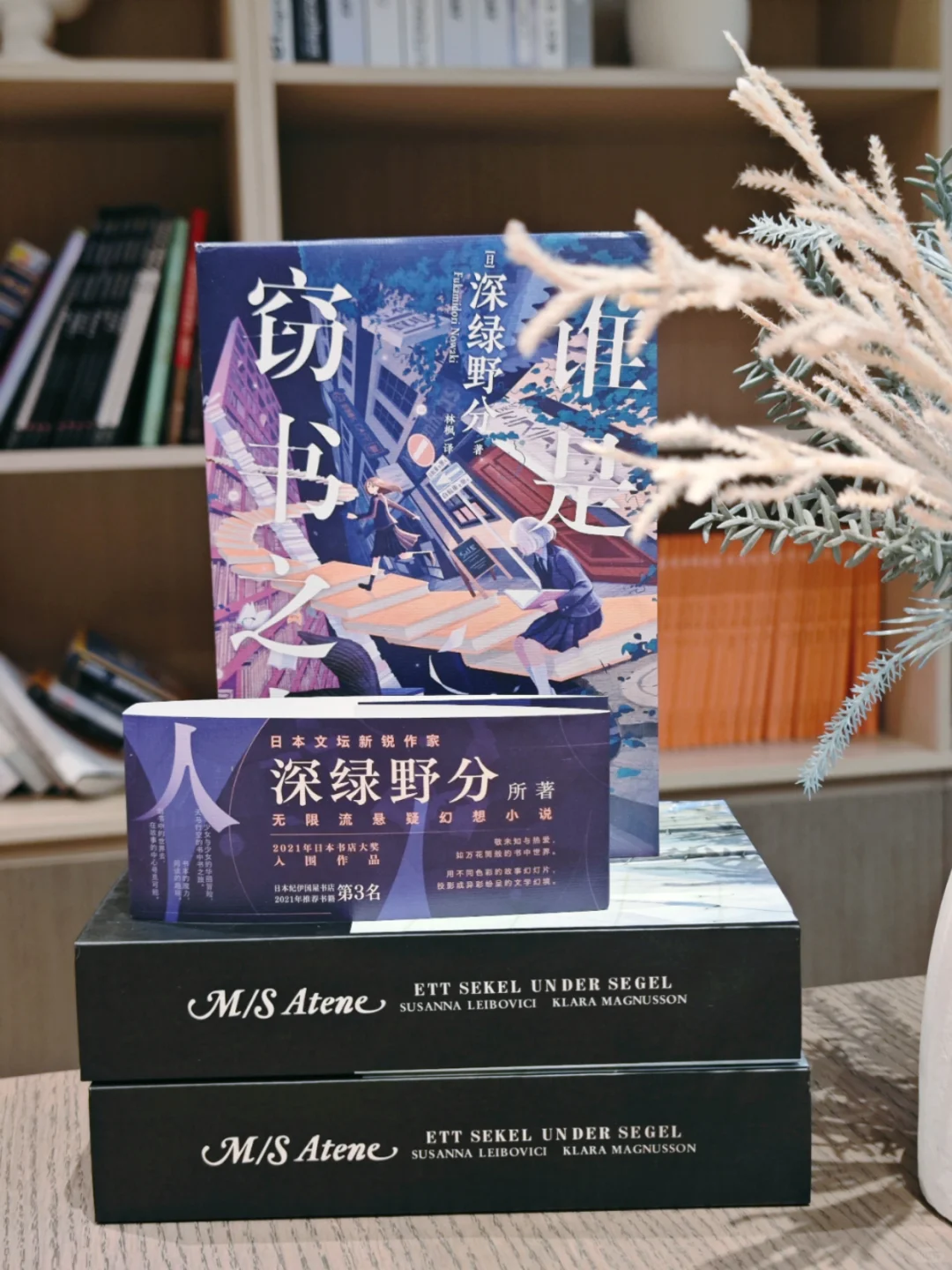 当悬疑小说碰上无限流，真的看得很过瘾～