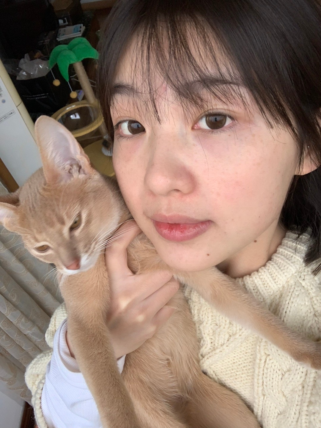 森贝尔家族这个萌！ 