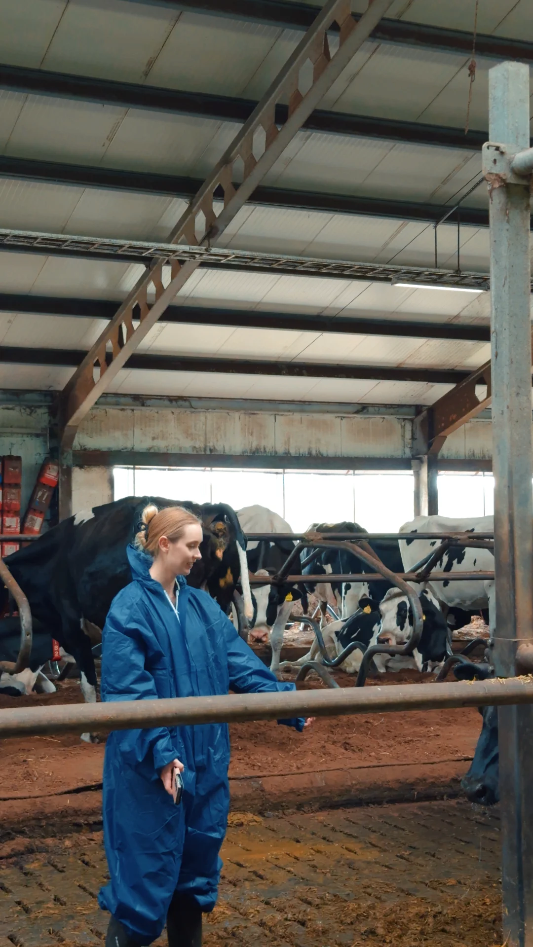 最好的被动收入：全自动养牛场