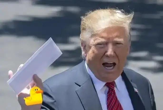 特朗普突然官宣新动作！2026年G20峰会不邀请南非，理由是南非在本届G20峰会