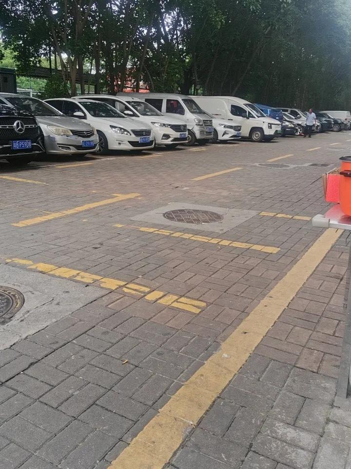 夏日生活打卡季