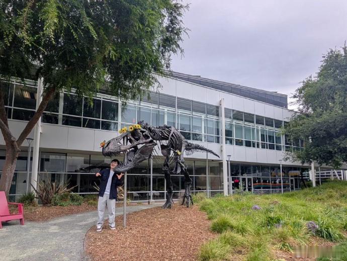 樊振东下一程仍在路上 “风从太平洋吹来，带着盐分与未知。有幸身处一个不断打开边界