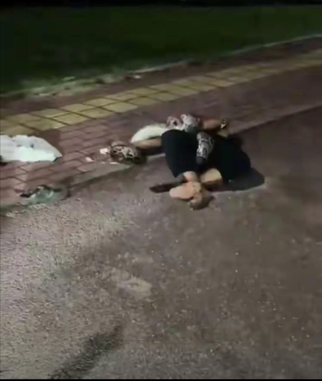 一男子被2米长的蟒蛇缠住。
2024 年 9 月 28 日晚 9 时许，在广东省