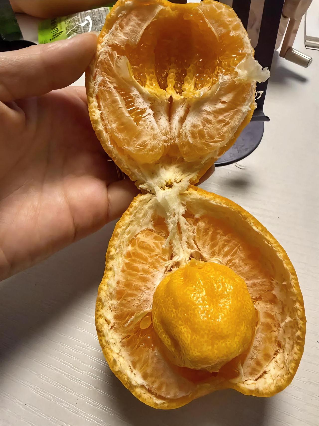 今天开耙耙柑真的被惊到了！剥到一半直接愣住，里面居然还藏着一个完完整整的小橘子，