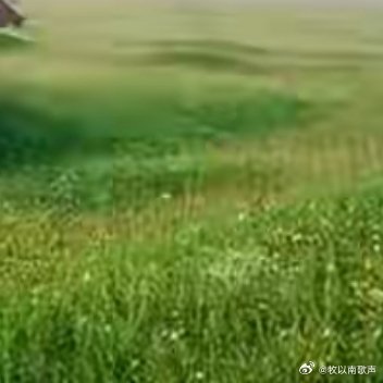 当你沦为烈马时，没人记得你曾是王者，你要悄无声息的强大，成为别人的遥不可及，有山