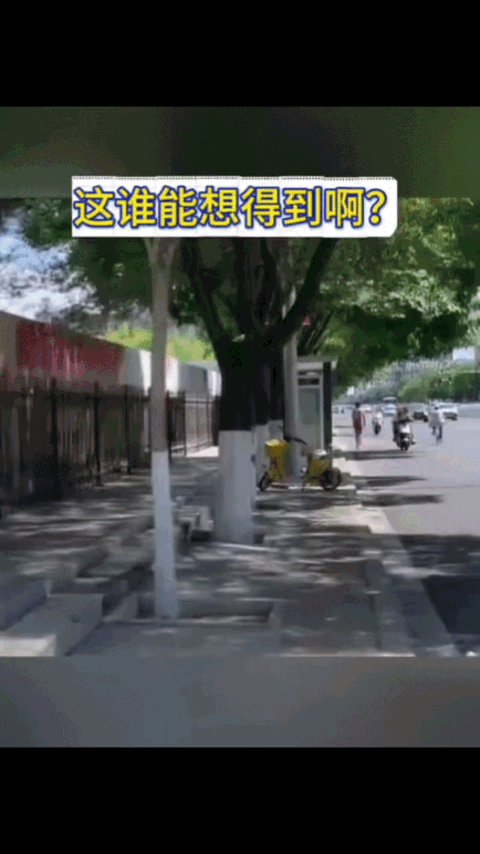 都是美女惹的祸
