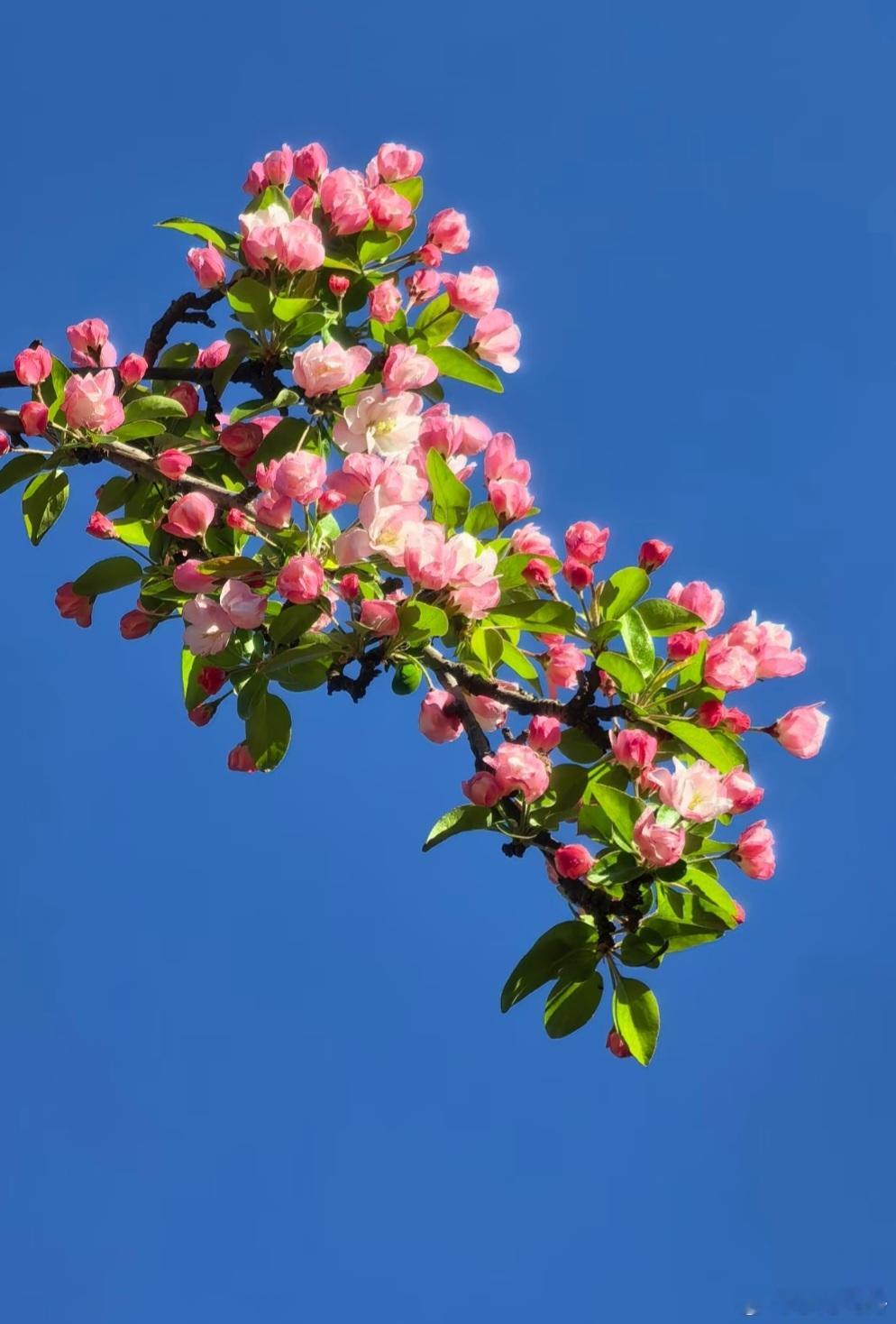 今天A 股大盘走势不错：东方财富App 显示的 10 项指数全体上涨收红，上证指