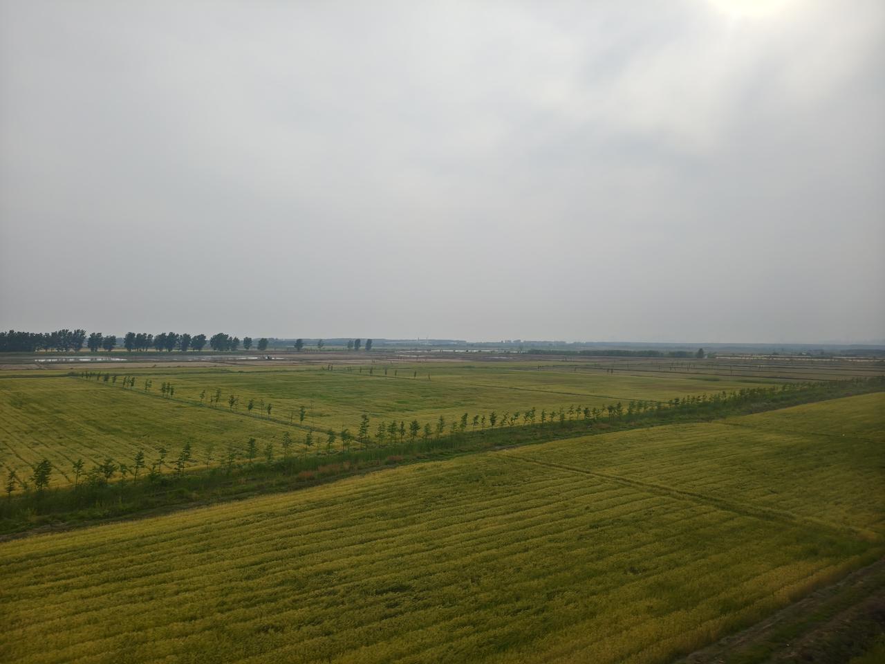 ——高铁观野景，随心享清欢!
 
        久居城市，总想着寻一方自然放松