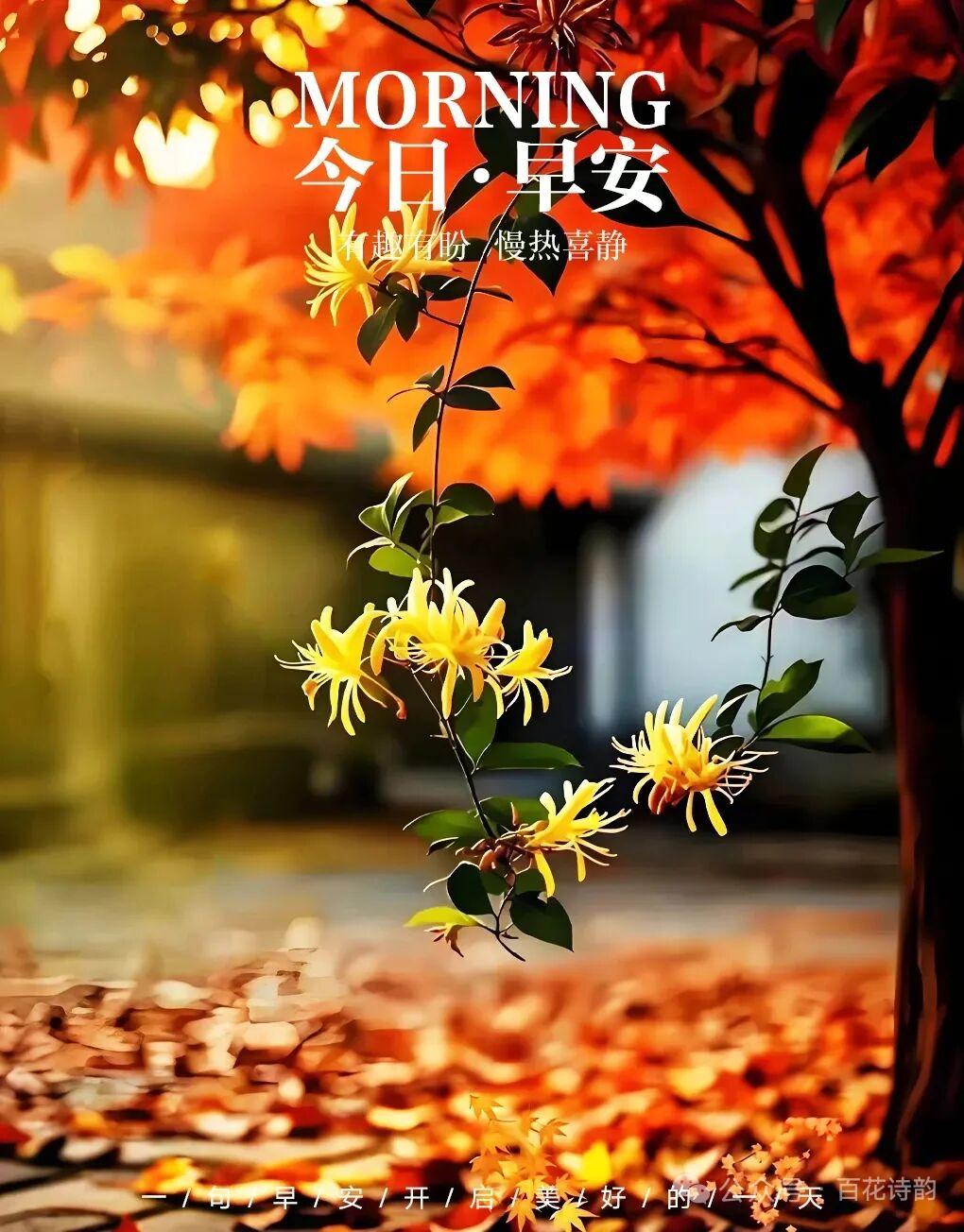 和人交往，你看重的是人品还是金钱我看重的是人品，一个人的人品最重要，人品好的人更