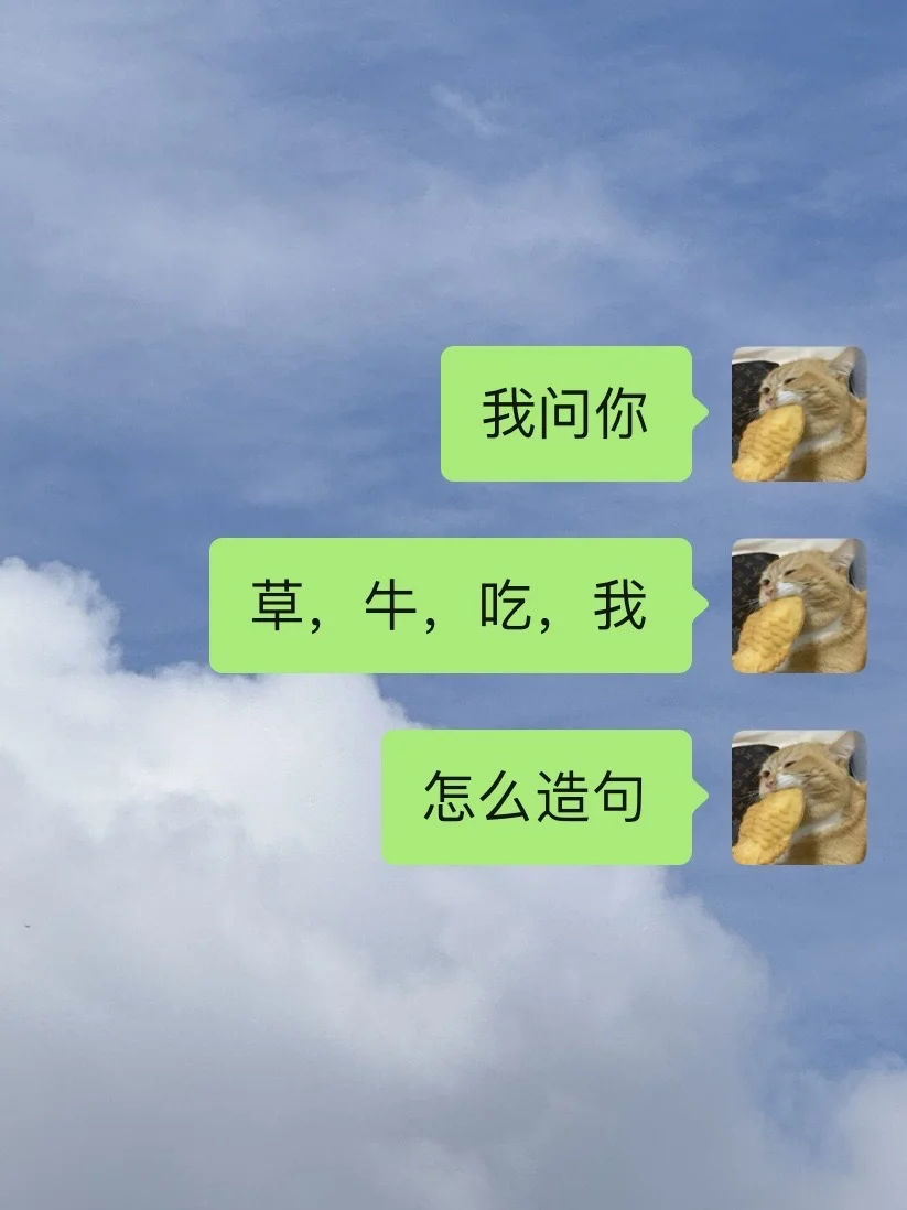 当我再次用烂梗去呲男友