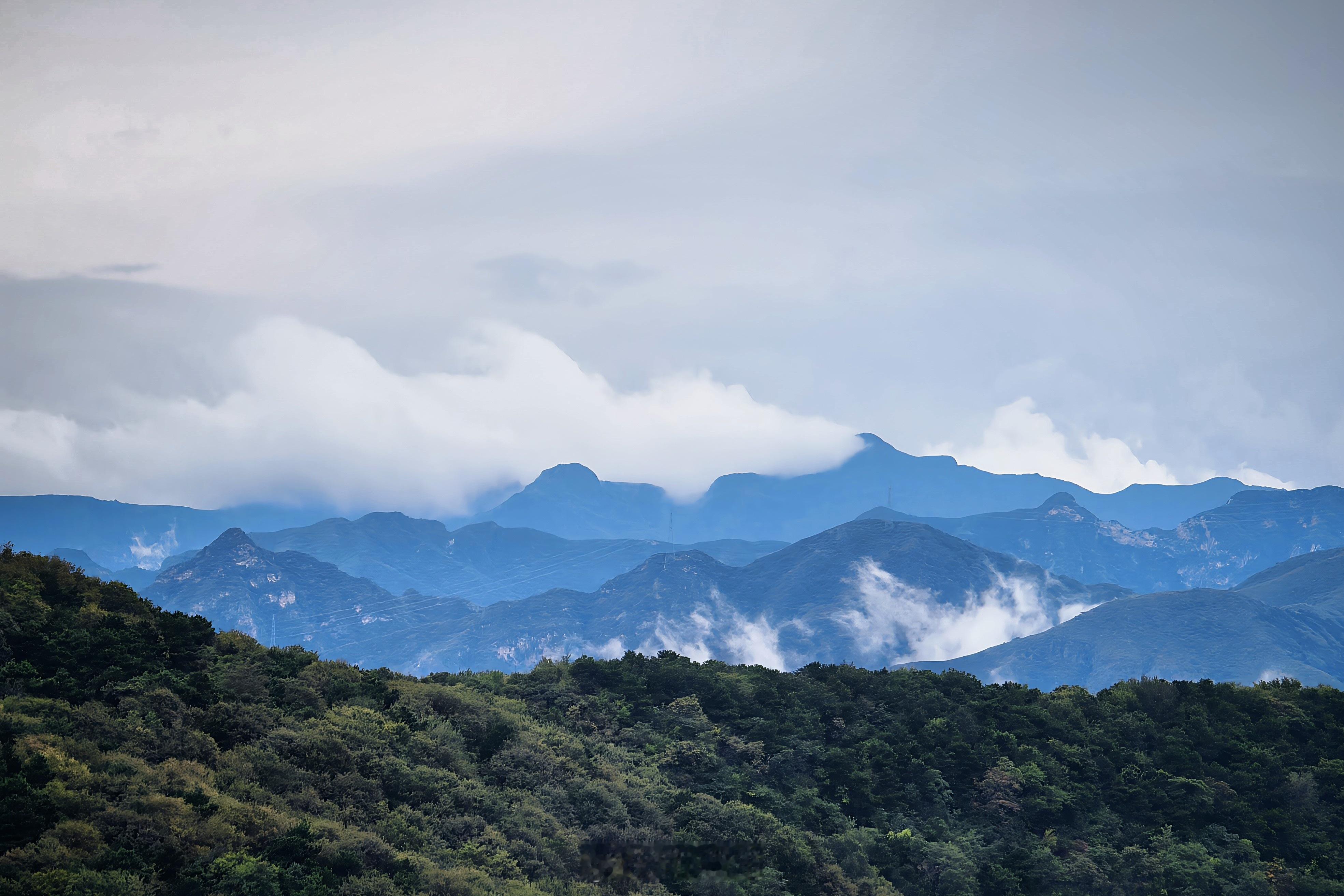 香植线来一大圈:碧云寺、好汉坡、打鹰洼、黄道岭、水杉林、植物园。北京每周一山 ​
