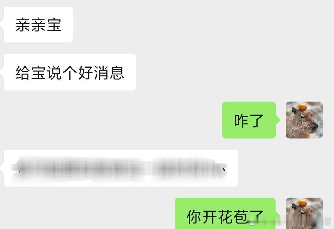 和助理交流日常belike 