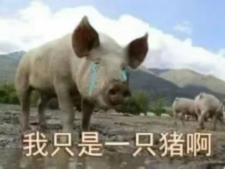 勾丝不要因为抽奖关注我谢谢，平时几乎不发相关内容 