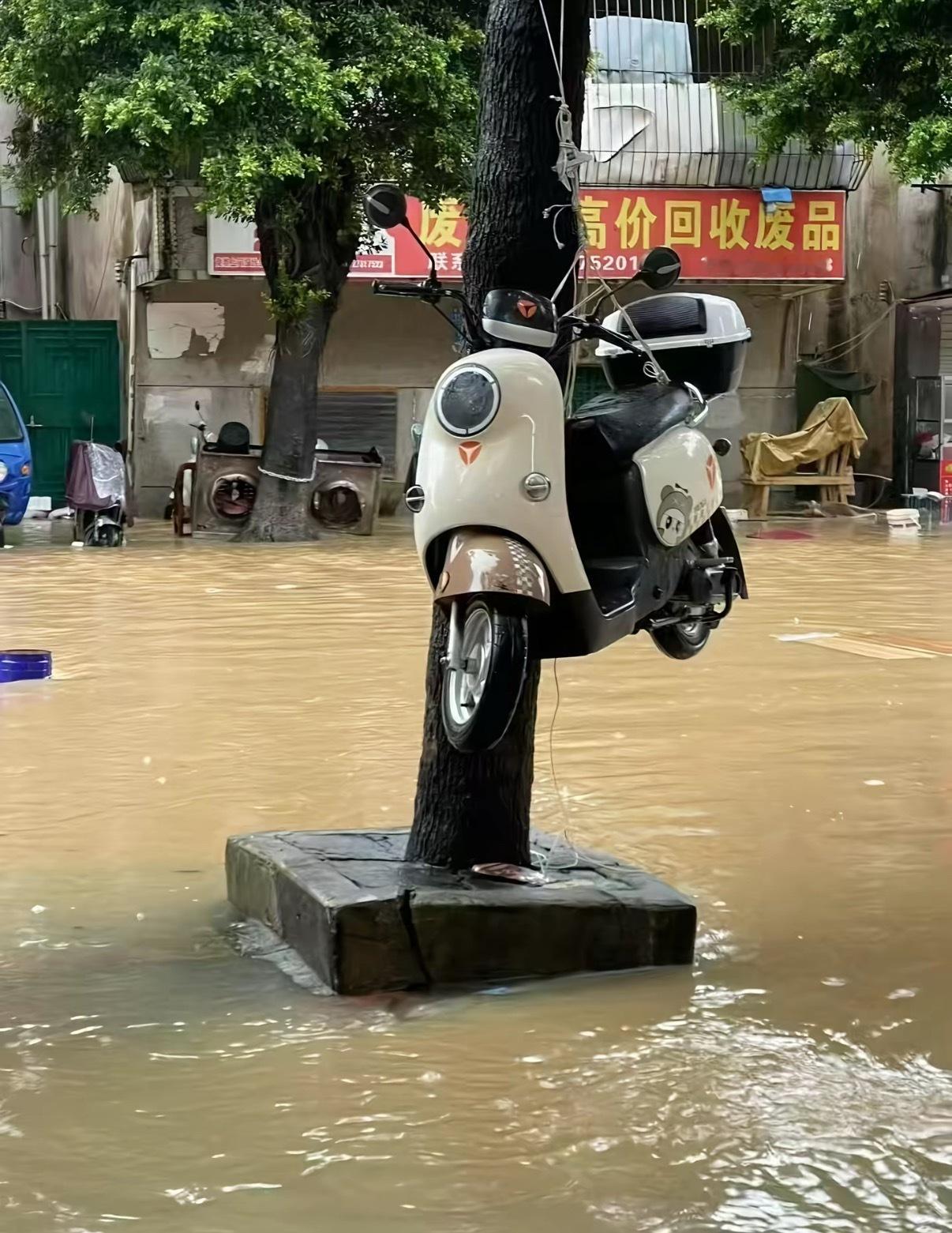 电动车🛵：差一点也成了泡水车[裂开] ​​​