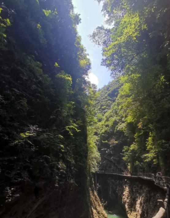万米高空惊魂，安全带救命
亲爱的朋友们大家好，我是海林小百科，今天我们来看看。客