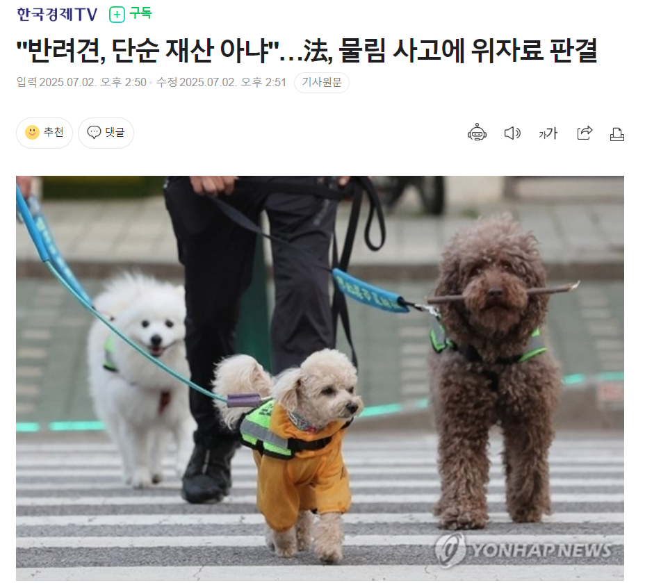 【“宠物非普通财产”...韩国法院对宠物咬伤事故做出精神赔偿判决】海外新鲜事热点