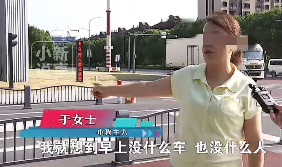 离谱！嘉兴女子遛狗不牵绳，狗狗被车压死后不服：司机是不是故意的？他算不算是肇事逃