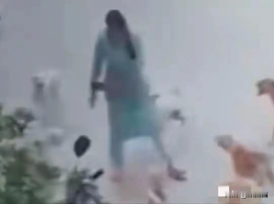 女大学生被流浪狗咬伤20余处，这次狗没被打死，爱狗人士都去哪了？
 
事情发生在