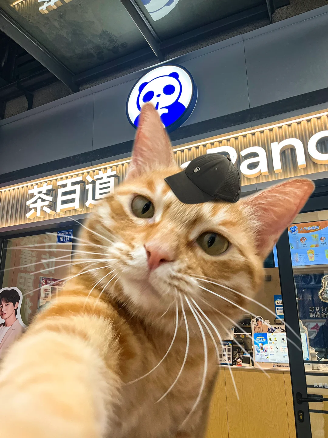 上号！跟大海铲一把！