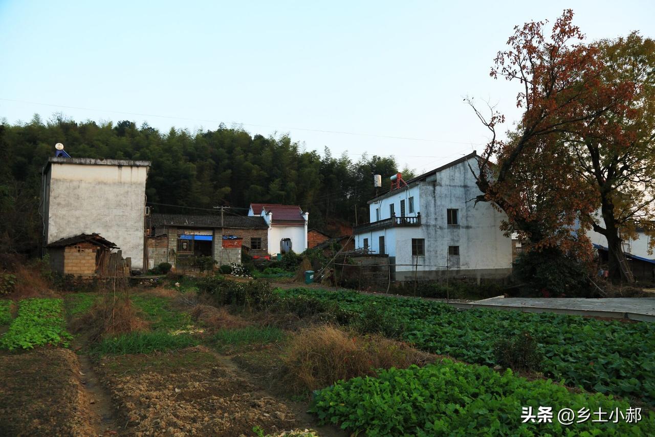农村人别再往外跑了！这5个不起眼小生意，本地人做，月入过万不稀奇
 
很多人总想