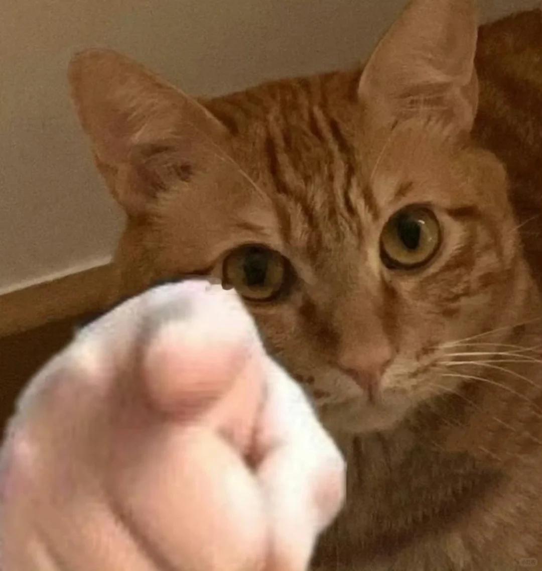 兄弟们，早。关于你们的利润，我是第一责任人，今天我就要带领大家一雪前耻！！！话不