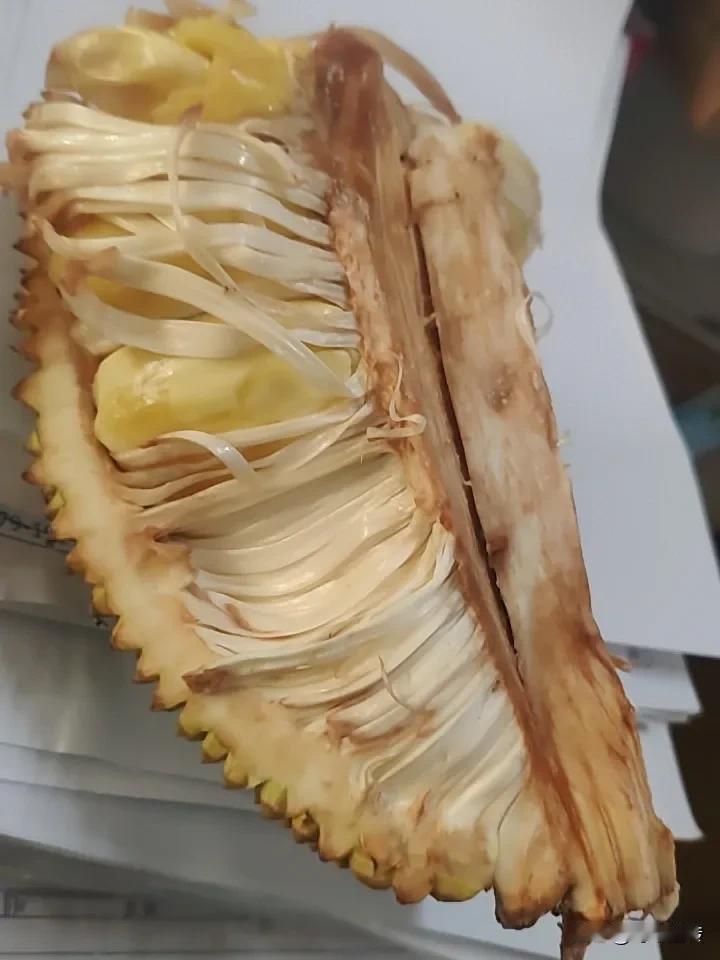 部门里分发应季水果，
但菠萝蜜都被同事嫌弃，
原因是甜度太高了，
吃了影响他的血