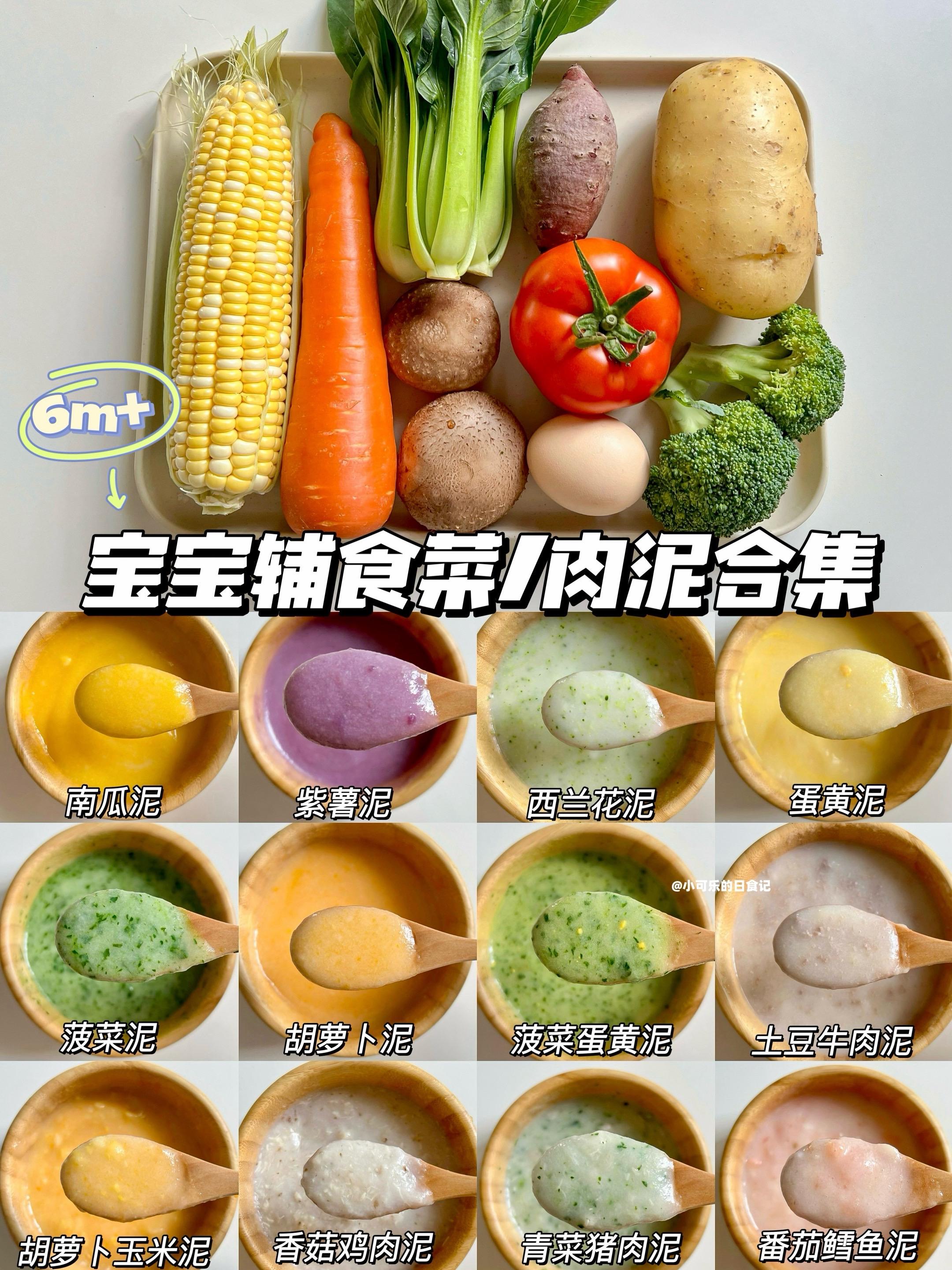 6月龄宝宝辅食添加全攻略✅菜泥肉泥 教程。宝宝6个月左右就可以开始添加...
