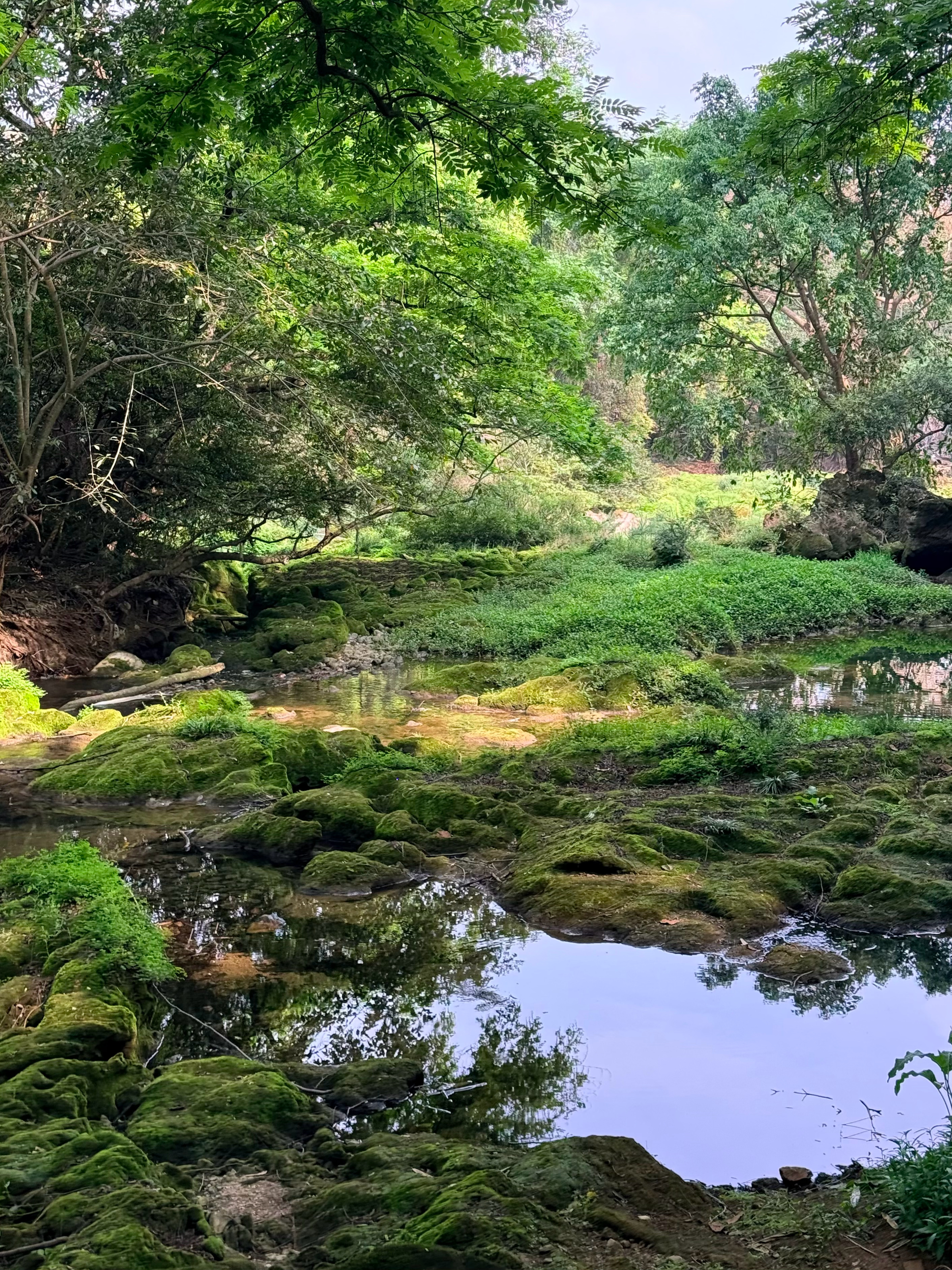 隔着屏幕都闻见水味了 黔南