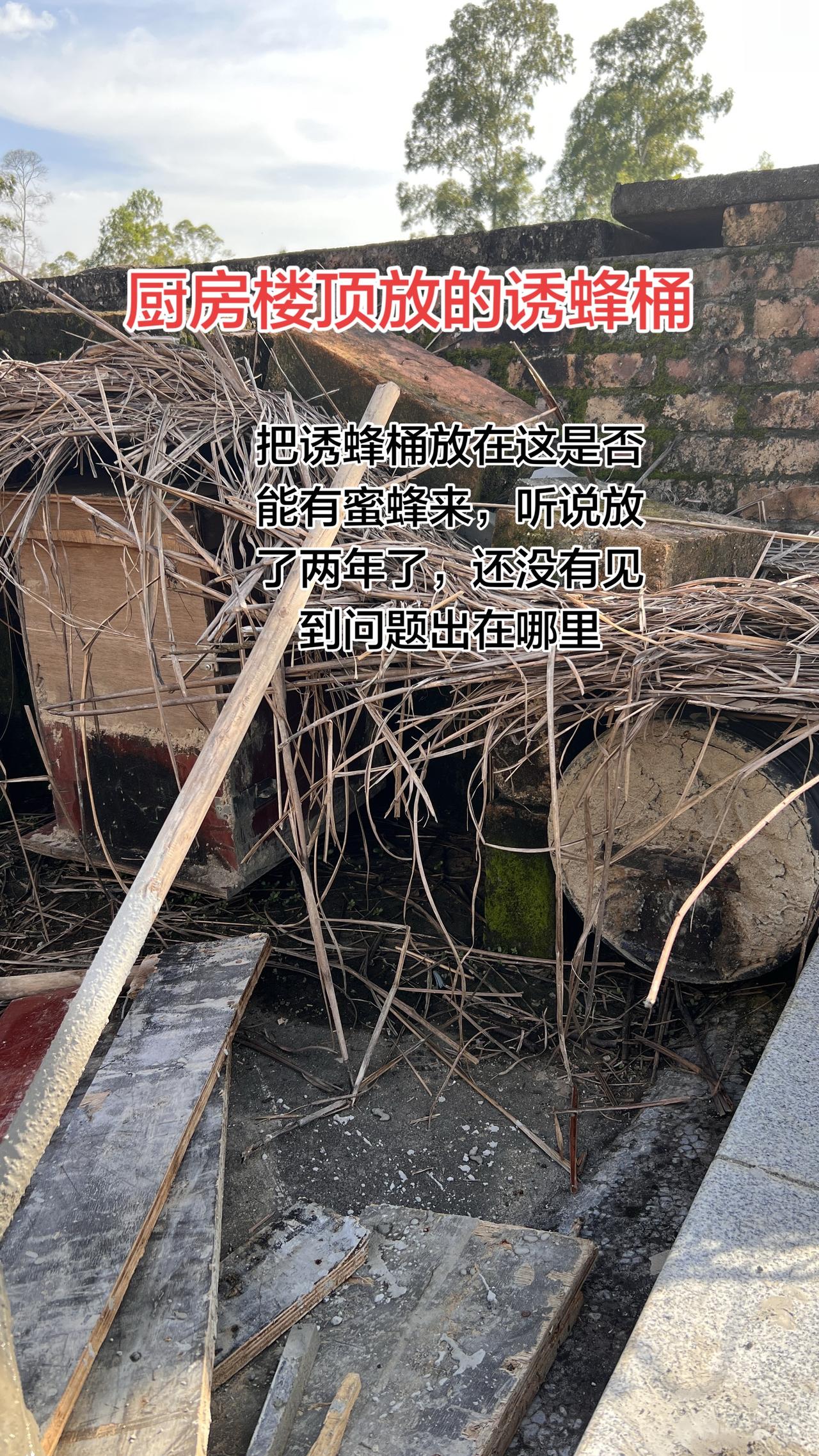 现在很多人想简单的方法，不想到山上去了，直接把诱蜂桶放在家，坐着等蜜蜂来。 但是