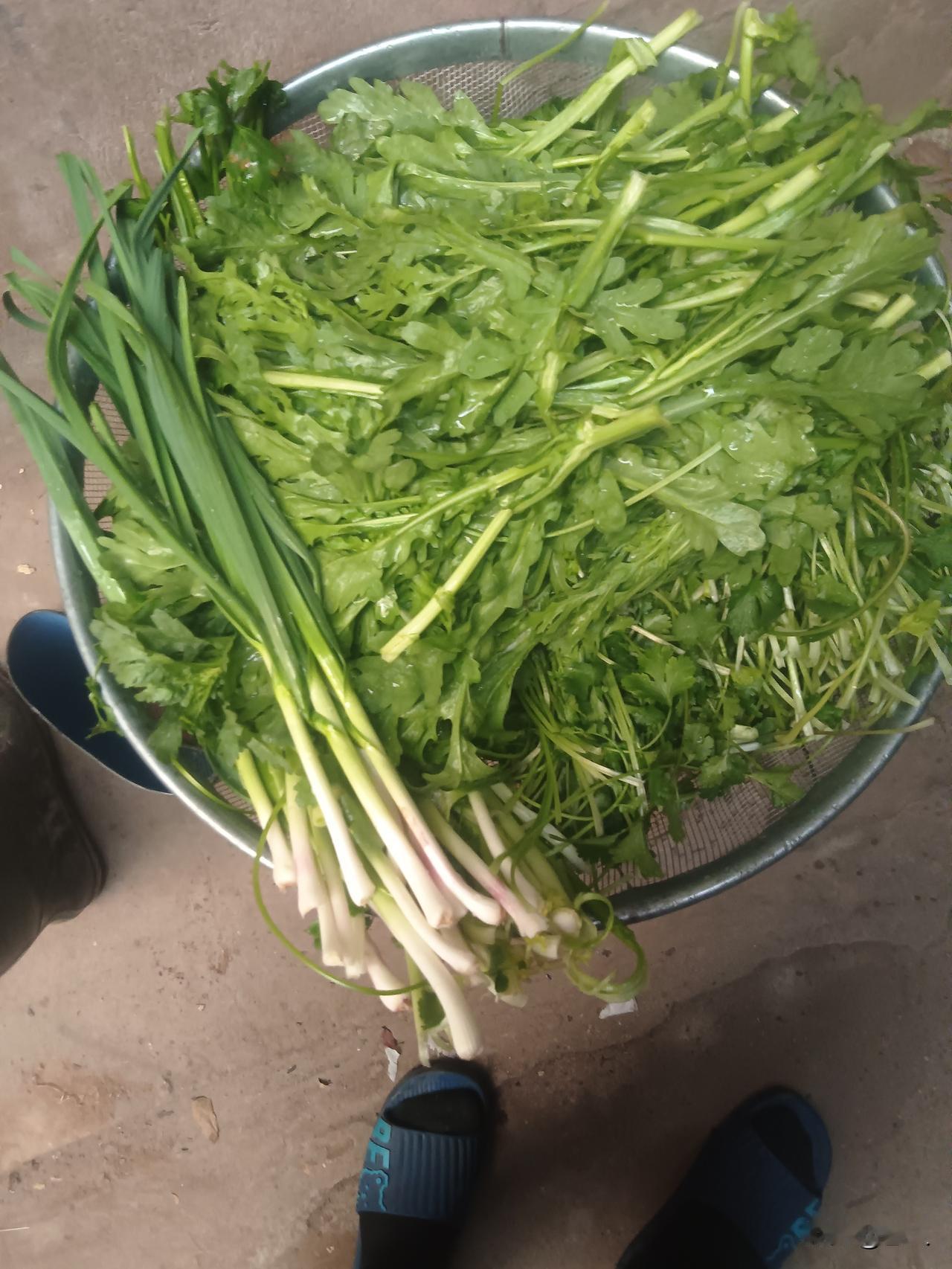 当湘超赛场永州战长沙的点球划过横梁，当踢飞点球的高中生低头落泪，舆论的喧嚣不该涌