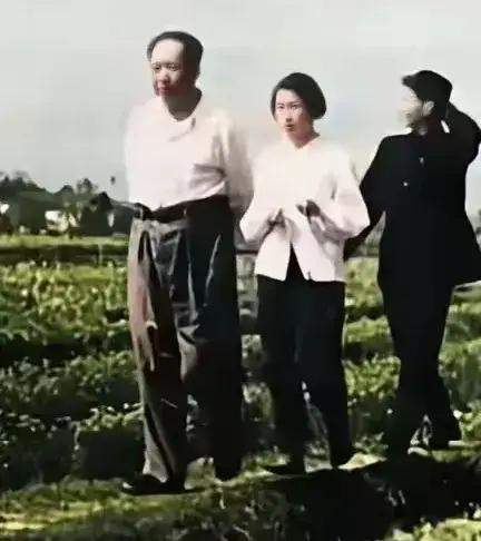 说出一句带春字的诗词春色撩人迎丰年！